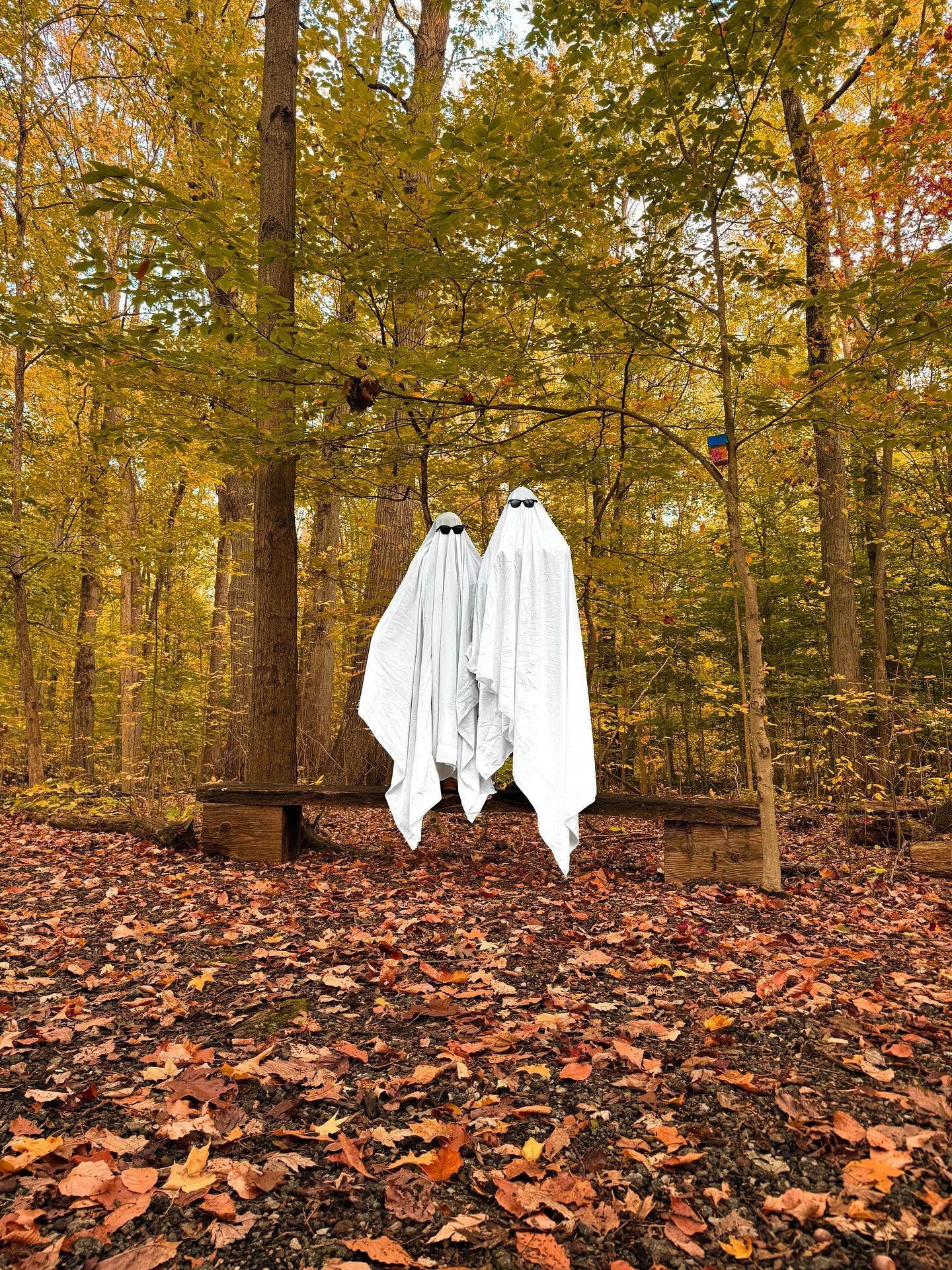 Happy #Halloween from these spooky ghosts.