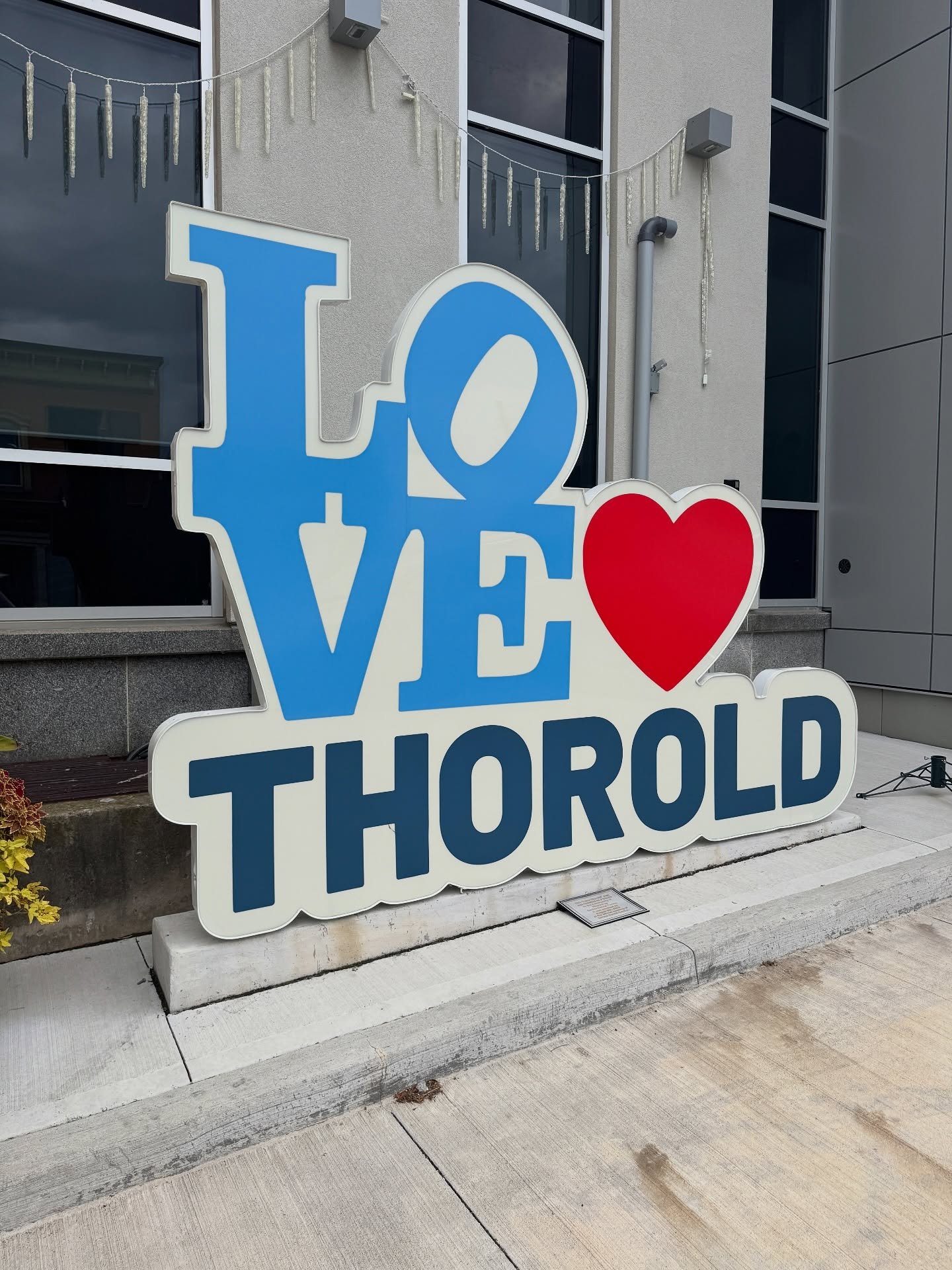 Leftovers from summer and fall. #PhotoDump