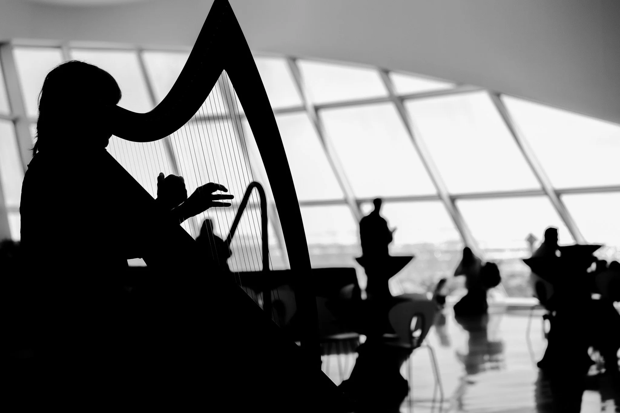 A harpist in full silhouette against a bright window, figures dissolving behind.