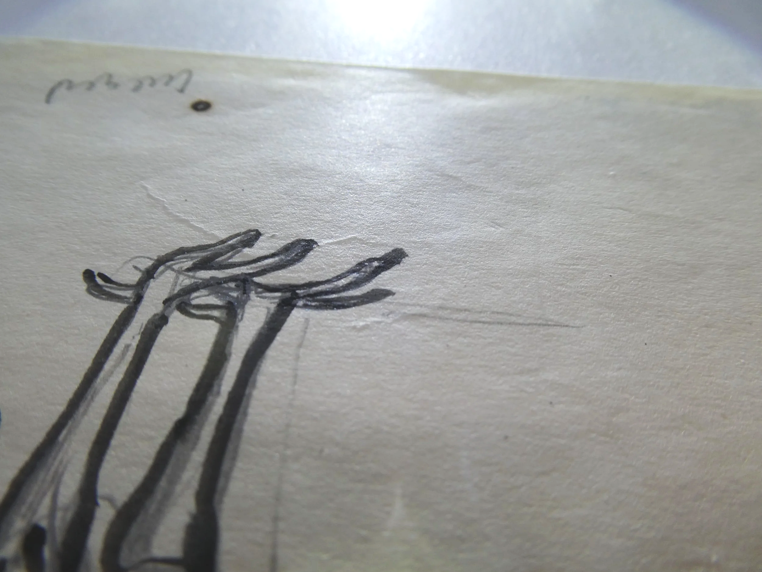 Detail conditierapportage | Leo Gestel | Inkt op papier | 1935 | Rijksdienst voor het Cultureel Erfgoed