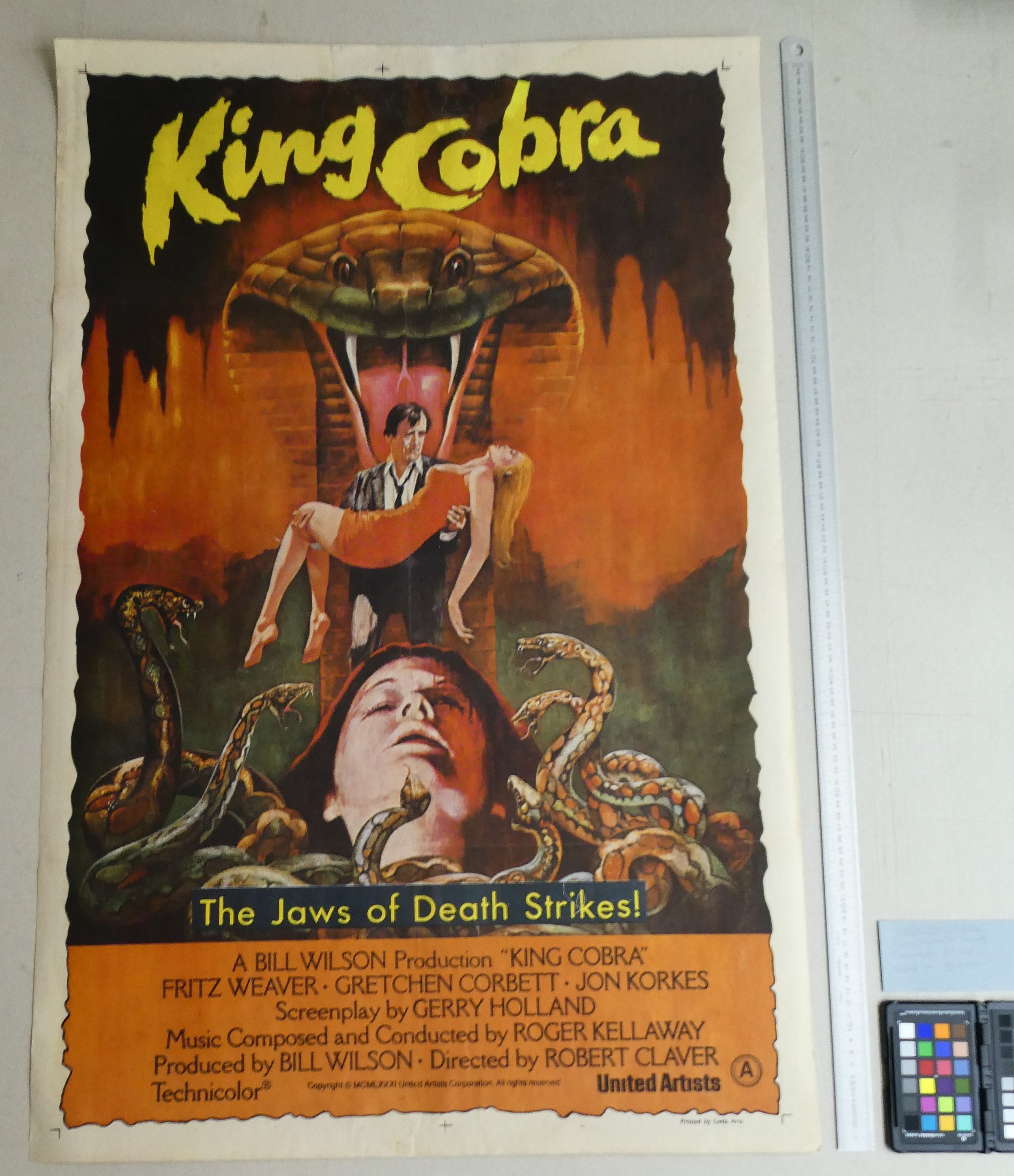 Filmposter King Cobra | 1981 | 100 x 80 cm | Lithografie | Edward van der Lugt | Na behandeling (vlakken, reparatie van scheuren, doubleren en retoucheren)