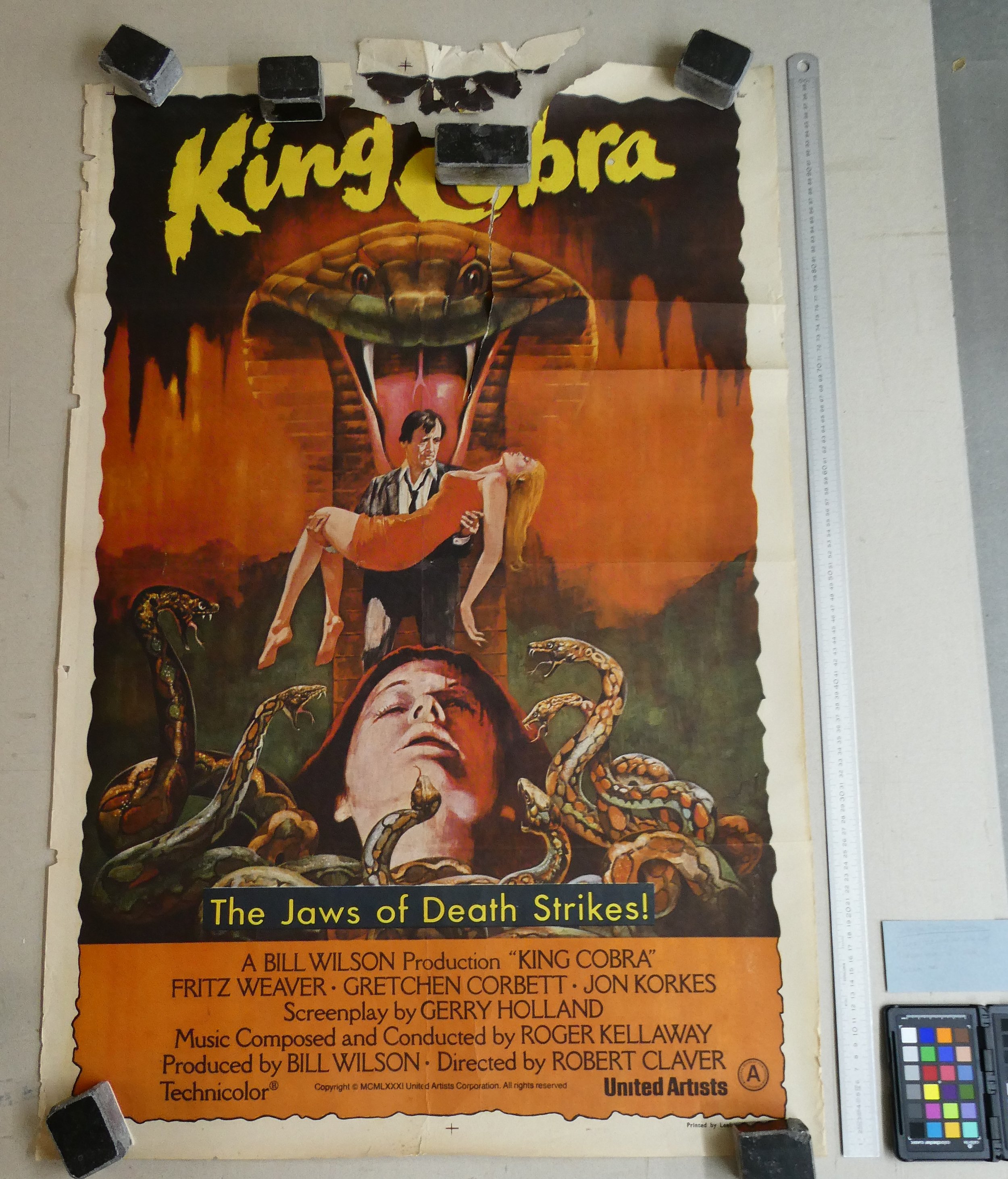 Filmposter King Cobra | 1981 | 100 x 80 cm | Lithografie | Edward van der Lugt | Voor behandeling 