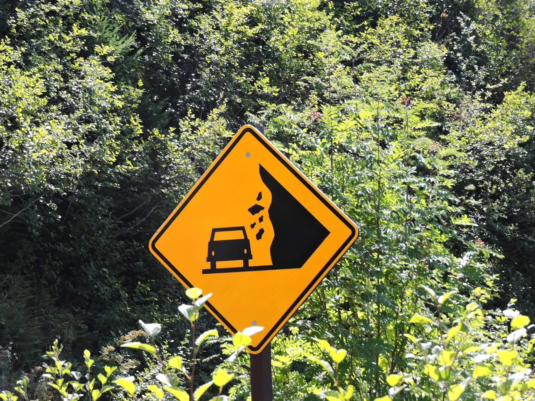 AI Readiness Over Fluency