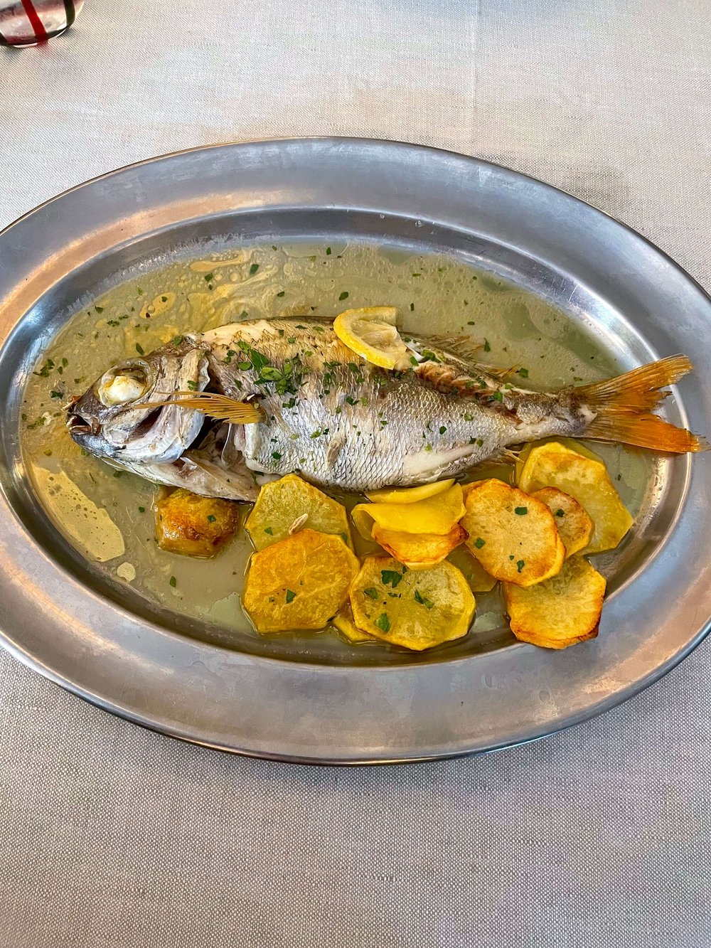 Italy Fish.jpg