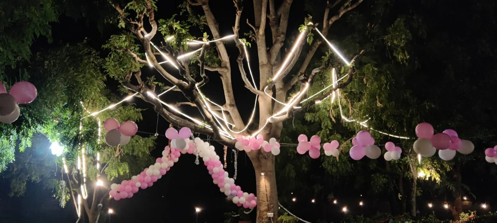 Nighttime outdoor scene with a large tree decorated with pink and white balloons and string lights. Best farm in Japiur , Private villa with pool in Jaipur, Holiday rental in jaipur, house party villa