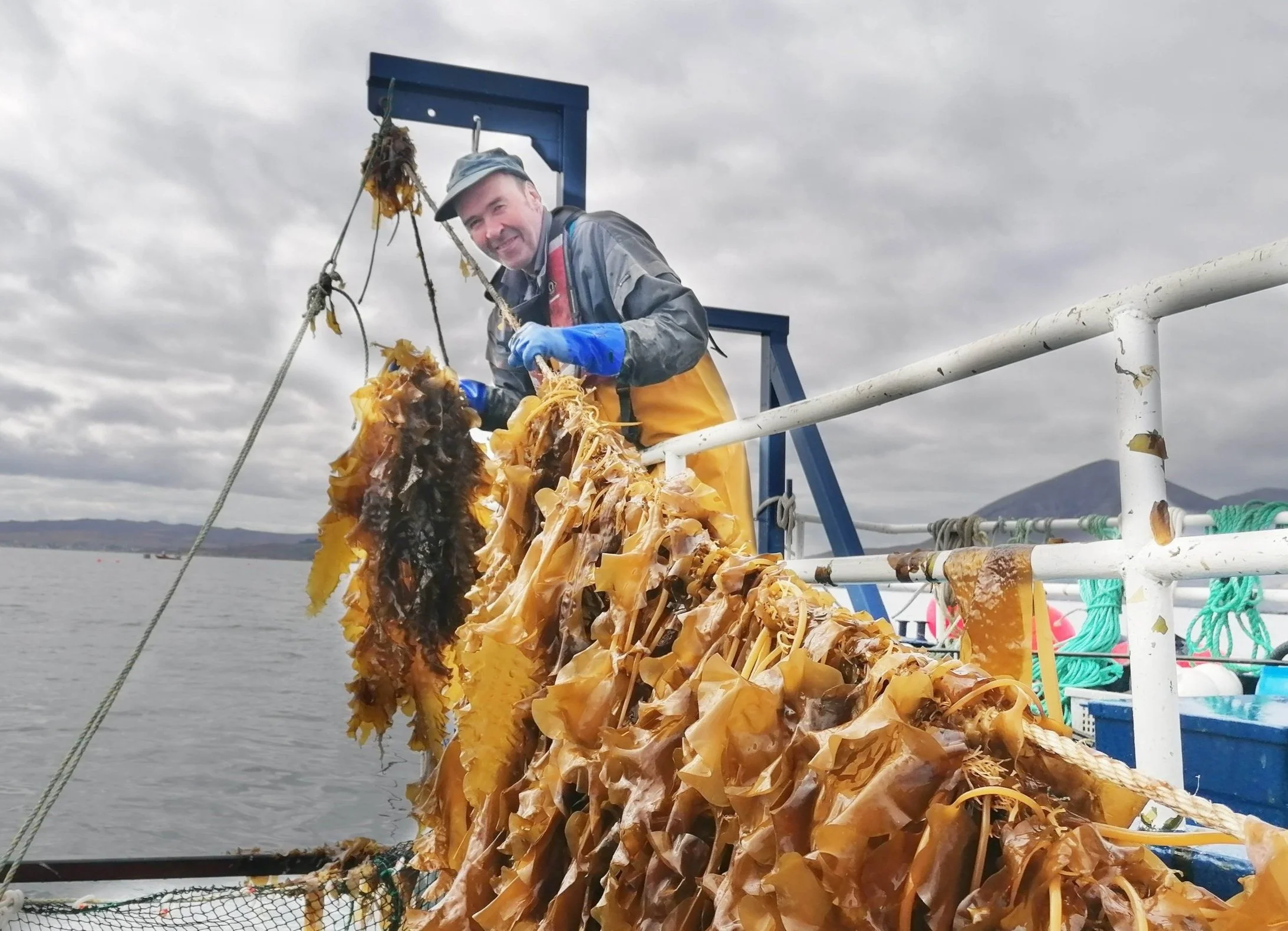 KelpCrofters