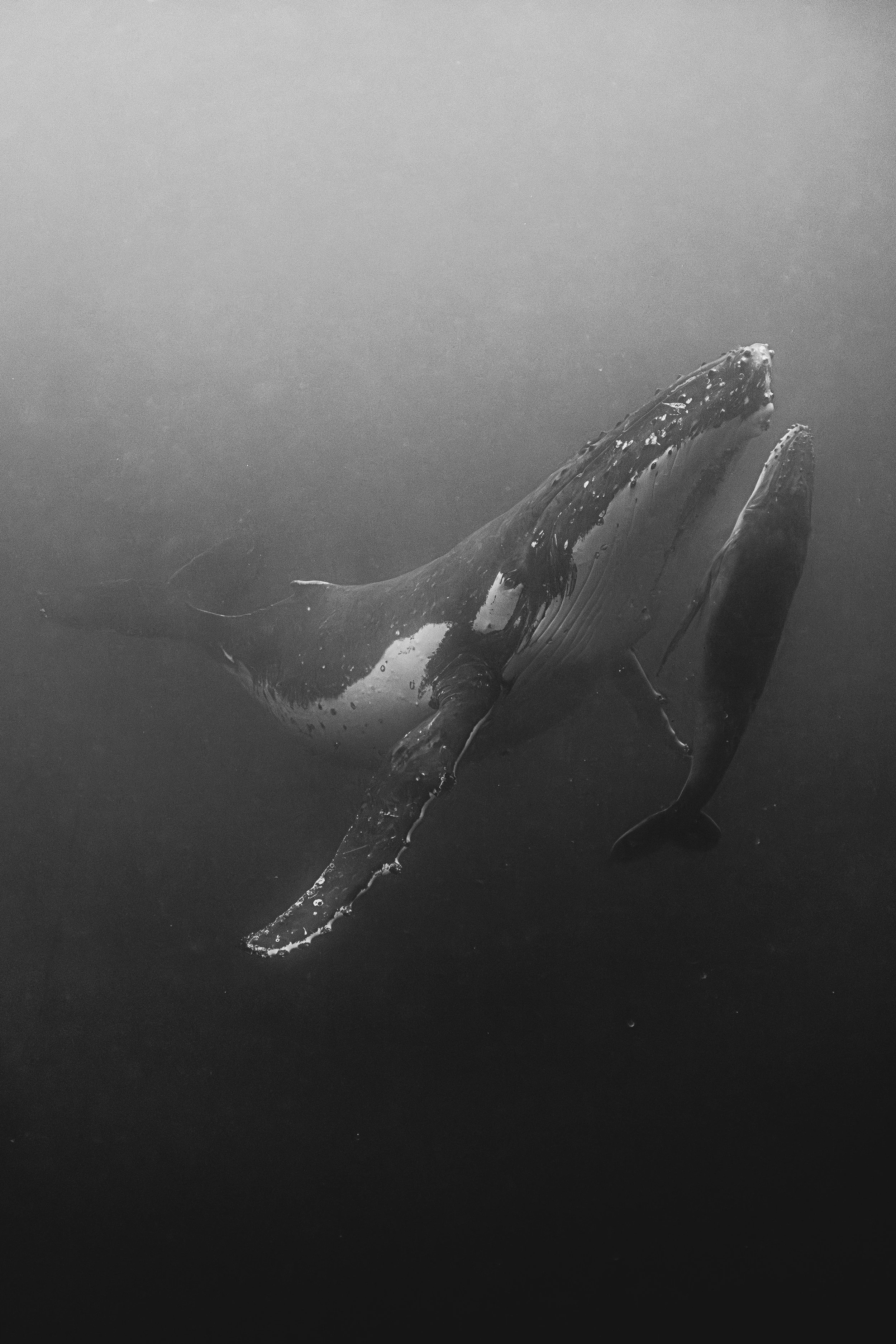 ocean-20.jpg
