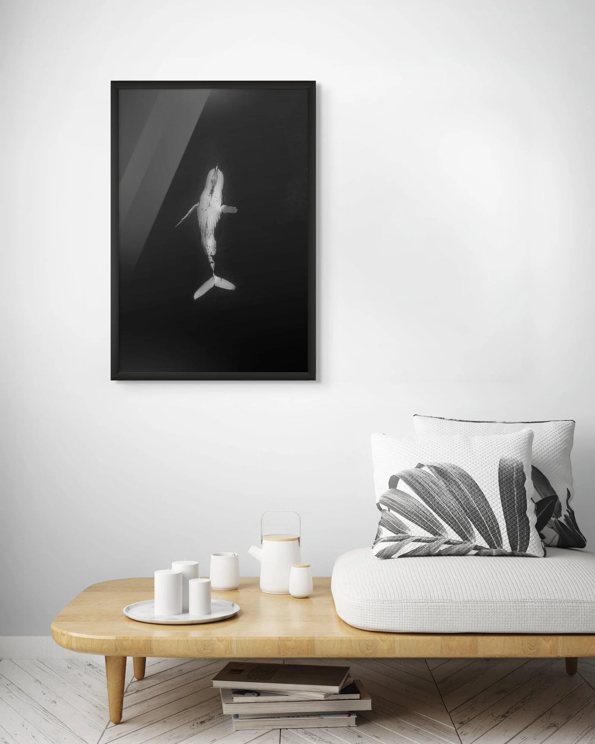 whales_soulfocus_media-6-full.jpg
