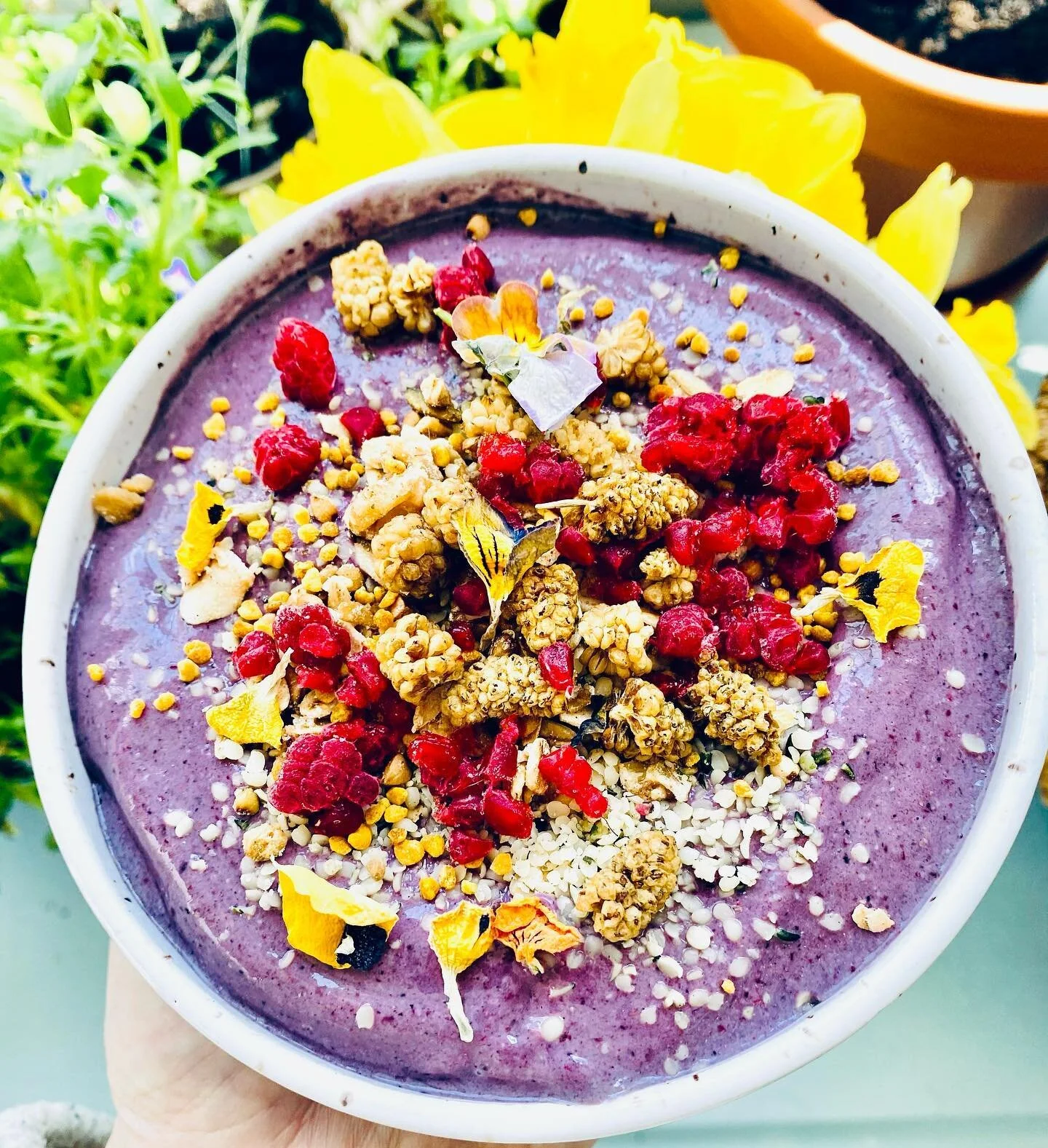 🌸DREAMY SMOOTHIE BOWL 🌸

💕Tag a smoothie bowl lover💕

The warm weather and sunshine are back and so are my smoothie bowls🐝

1/2 cup seemed/frozen cauliflower 
1 small frozen banana 
handful of bok choy 
1/2 cup cherries
1/2 cup blueberries 
2 sc