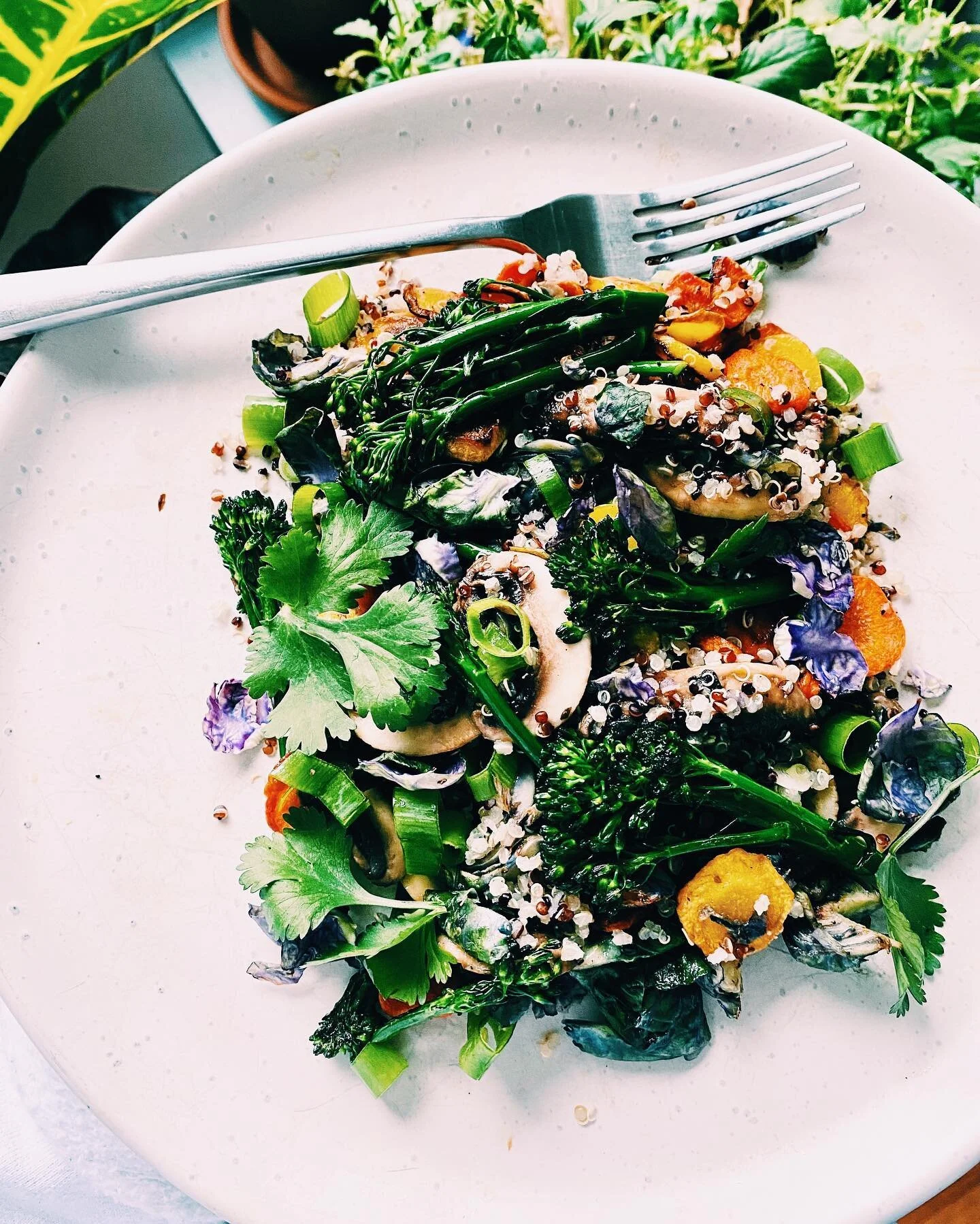 thursday afternoon hormone loving 💕gut-healing💪🏼warm veggie salad 😋 
perfect for a cold and rainy spring day 💭 
ingredients:
yellow &amp; orange carrots cut into coins
baby broccoli 
mushrooms 
brussels sprouts 
scallions
cooked quinoa
pink salt