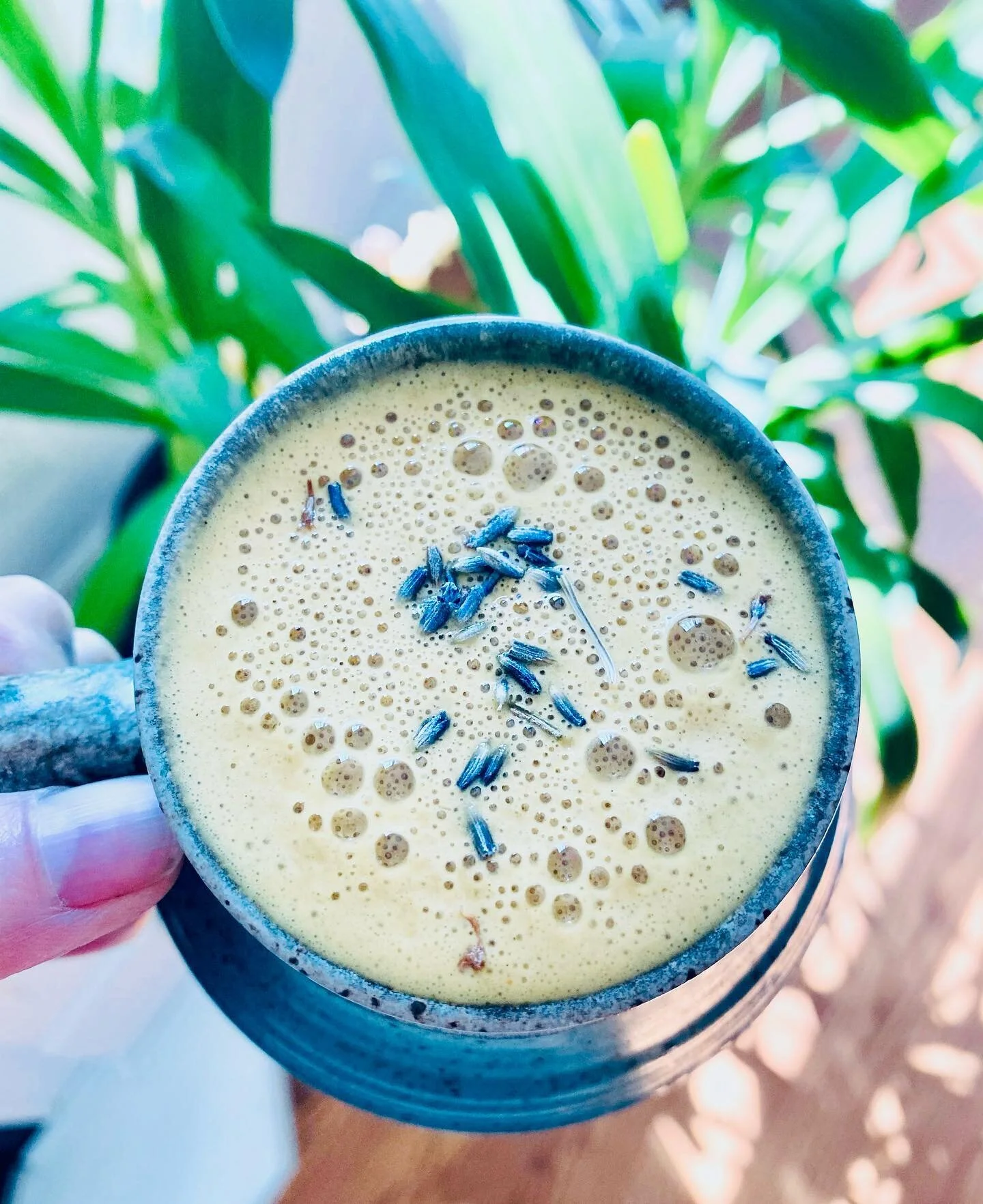 happy saturday amici 💕

enjoying a slow morning here in the detenbeck forest 🌳 with my turmeric &amp; mushies 🍄morning elixir ✨

3 cups herbal infusion- burdock root, ginger, mugwort, rose petals, oat straw, nettle root 
1 cup nut milk (i used my 