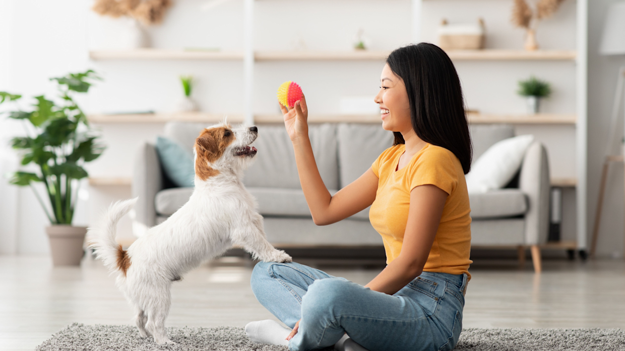 5 Benefits of Mental Stimulation for Dogs