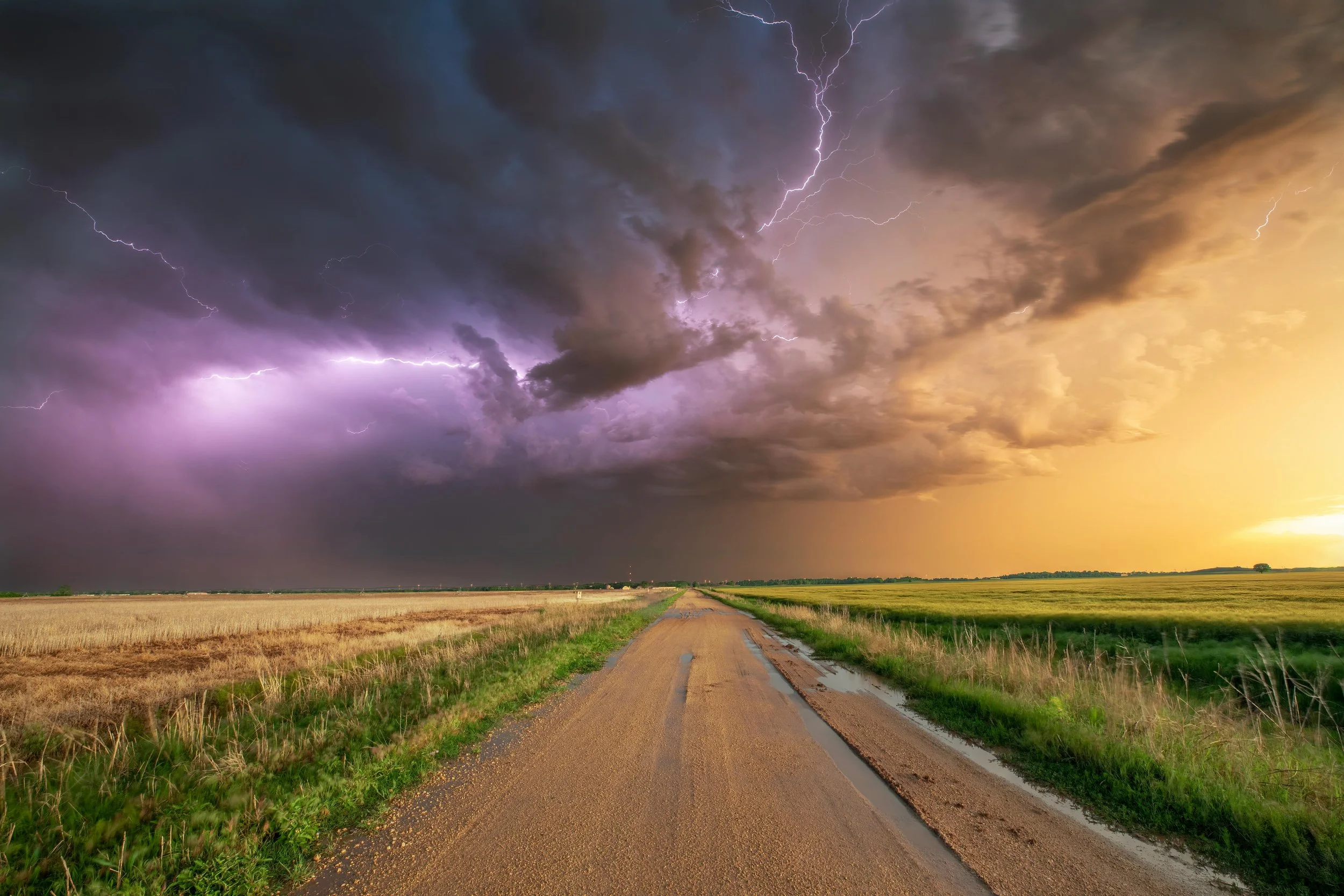 When tornadoes threaten, knowing how to protect your dog matters. 