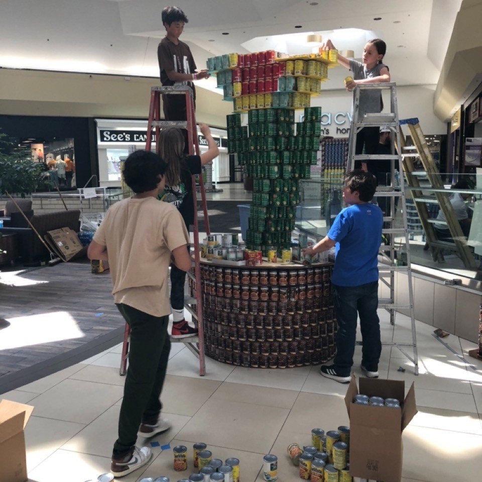 It&rsquo;s done! Our Adolescent Community&rsquo;s CANstruction project is finished. Please visit Garden Snappy this weekend at the Meadowood Mall.