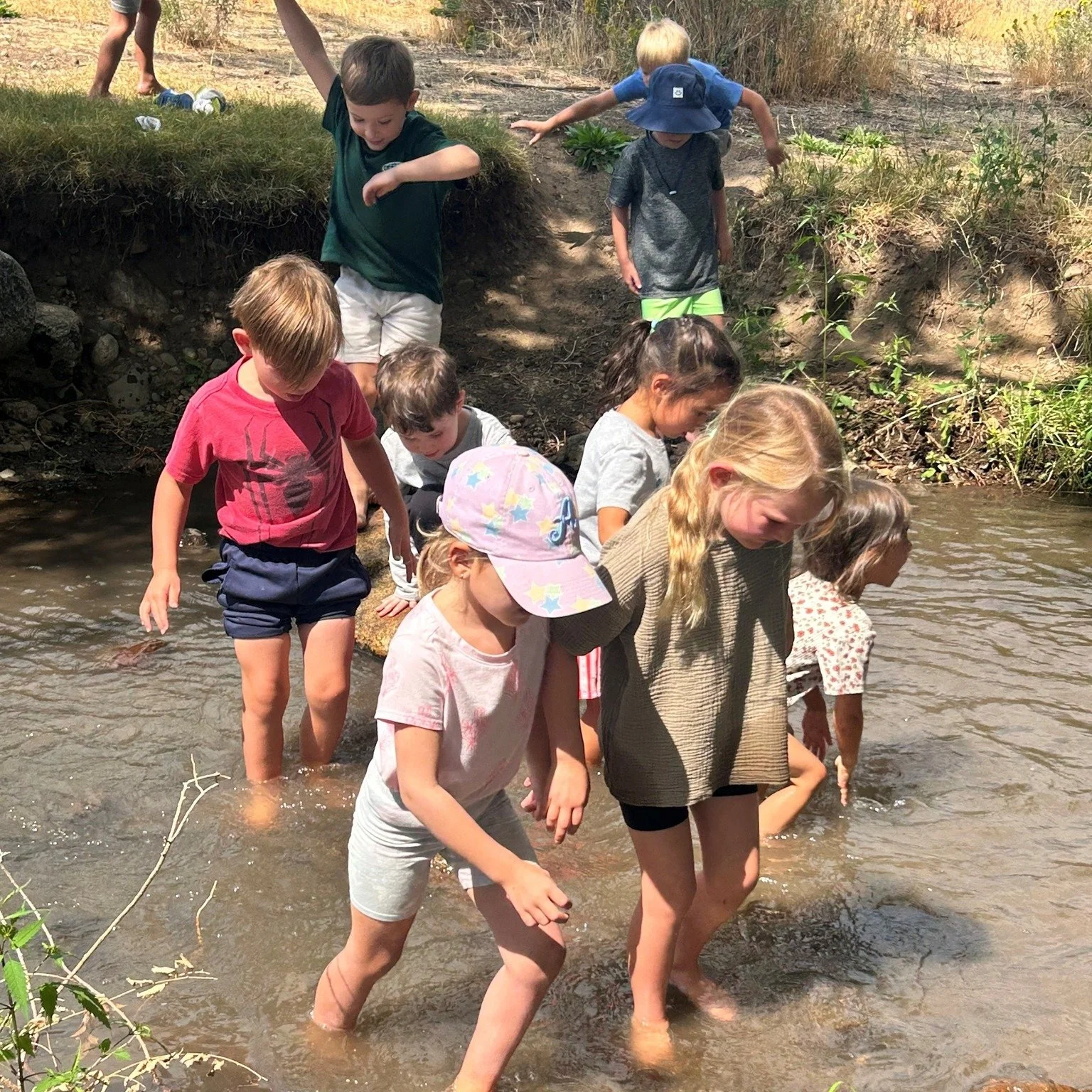 Kindergarten Creek Day- an MVM rite of passage!