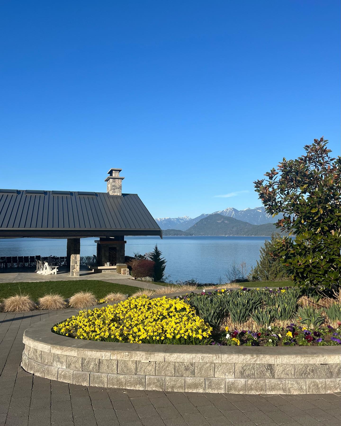 What a difference two weeks can make! Our team has been joyfully reflecting on the wild and beautiful miracle that is Spring this week.

1. Yesterday at Barnabas Landing, where fresh pansies are being planted in the garden beds.
2. Barnabas on March 