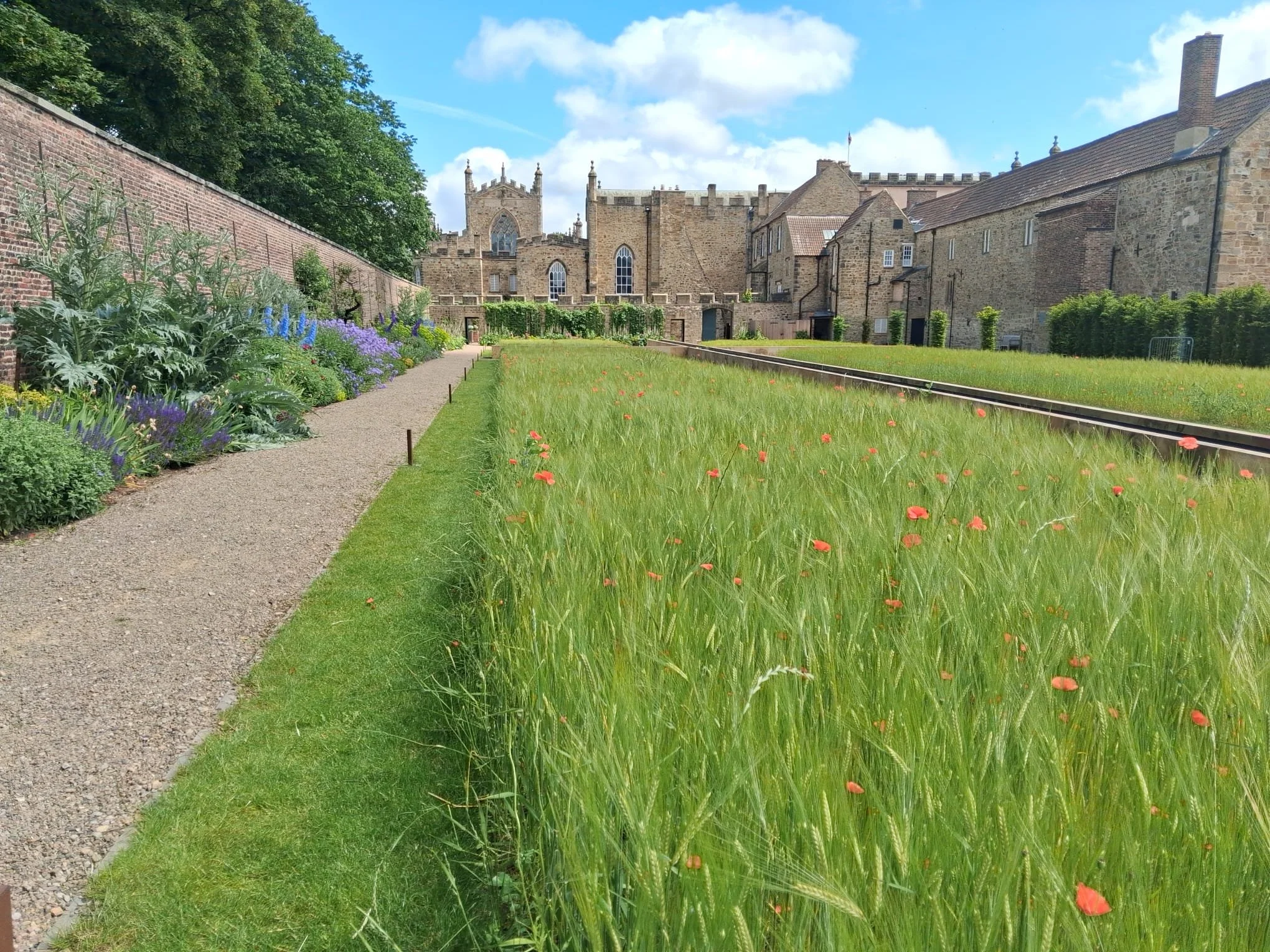 Exploring the Gardens of Auckland Palace