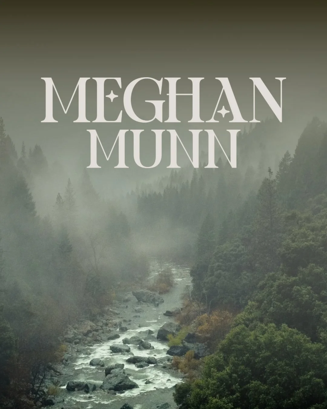 ✋🏻 STOP RIGHT THERE ✋🏻 and behold the beauty of @meghanmunnbooks new author branding and website. It&rsquo;s the dark, nature-inspired, moody, awe-inspiring visual identity of my dreams. From concept to final design, this was a project I adored wor