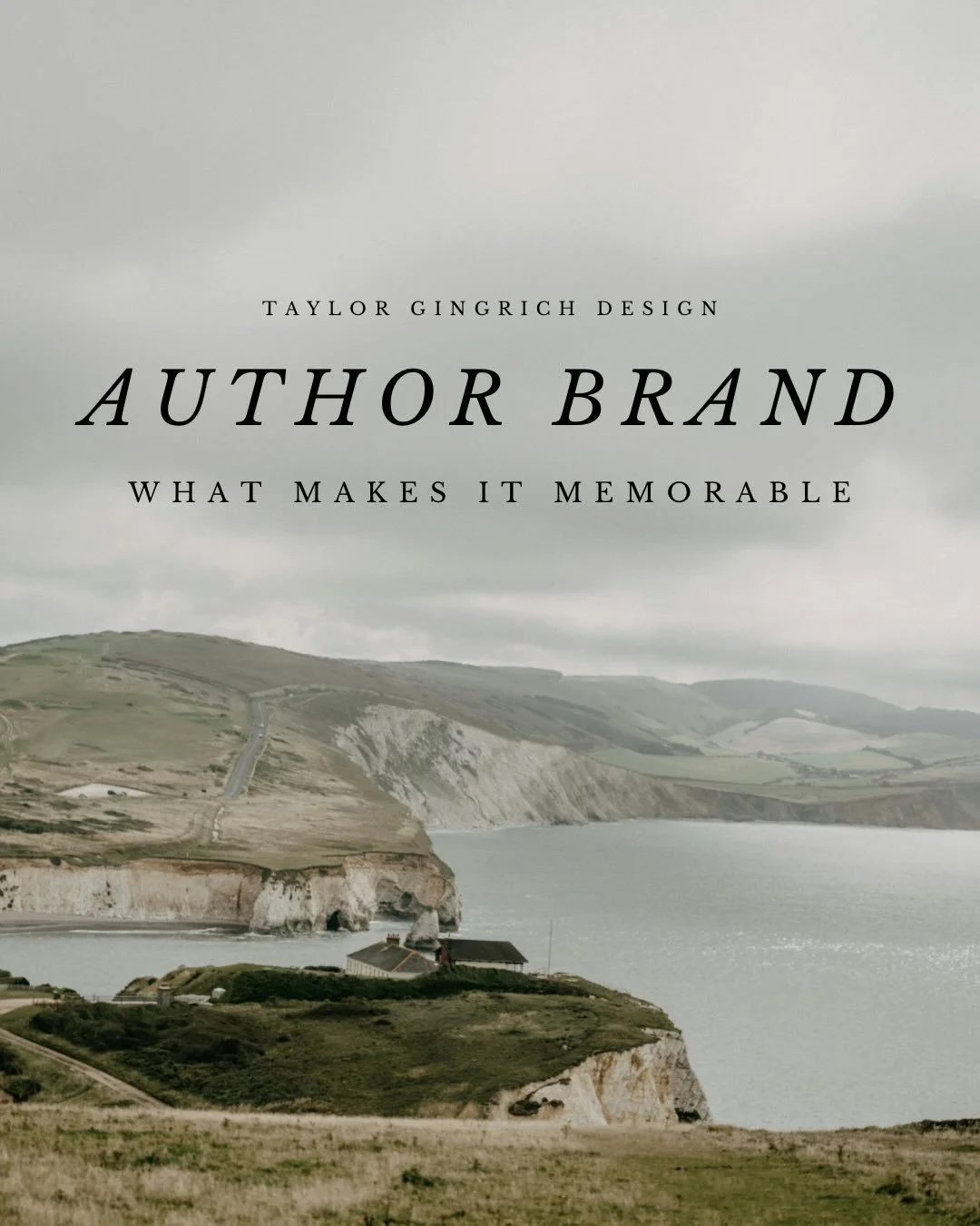 A quick break down of what makes an author brand memorable. You should have unique visuals, style, and voice. When your audience tells someone about you, your brand, or your books, what do they say? What do YOU want them to say? 

Authors are storyte