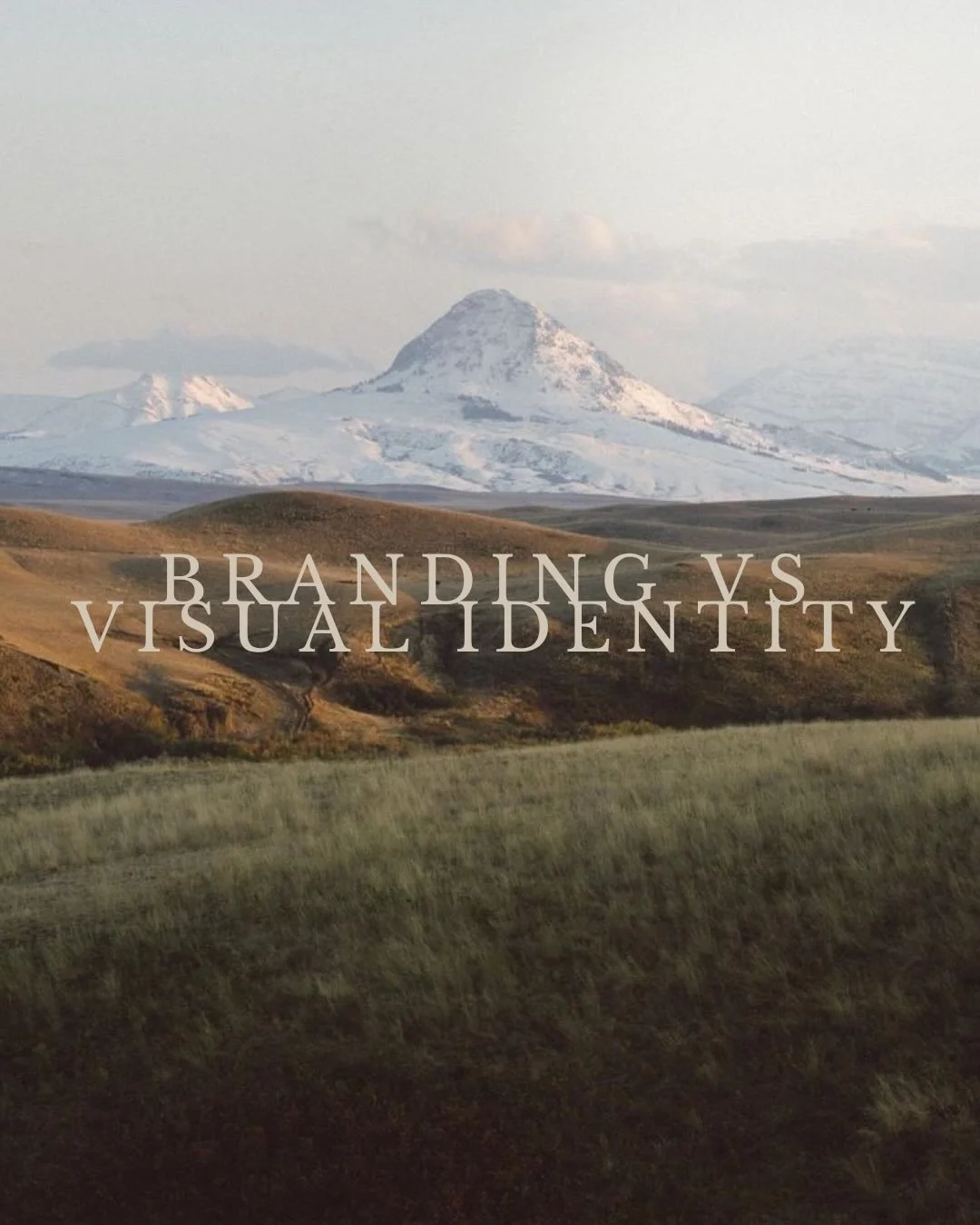 A fey key differences between the terms &ldquo;Branding&rdquo; and &ldquo;Visual Identity&rdquo;

So I&rsquo;m sure you&rsquo;re wondering why I use the word branding when marketing my services. It&rsquo;s because most people who are not part of the 