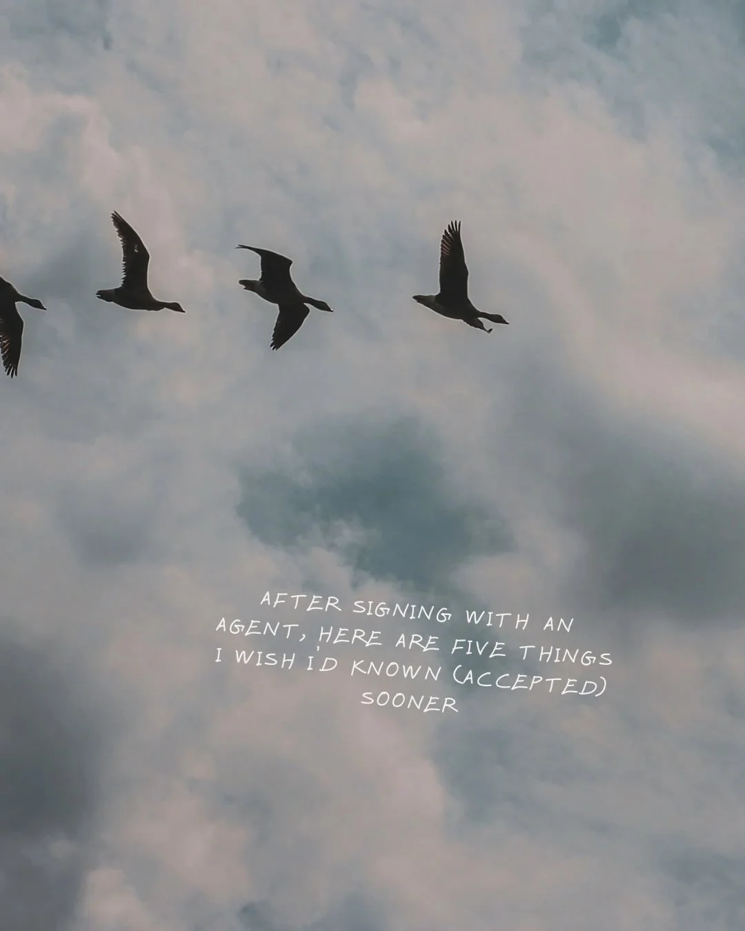 🌊🌲After signing with my literary agent, here are five things I wish id known (accepted) sooner🌲🌊