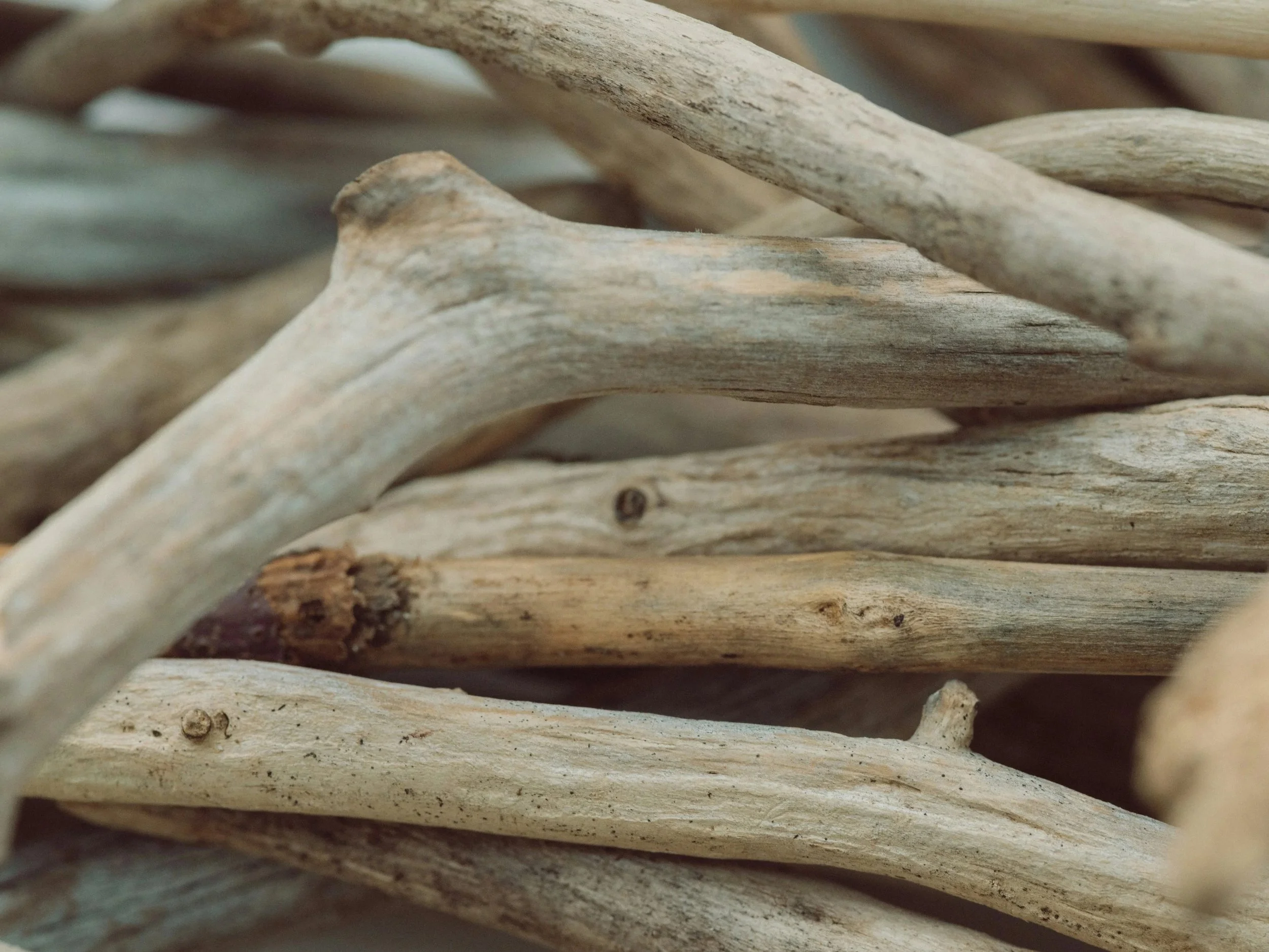Close-up of intertwined weathered driftwood sticks in neutral tones.