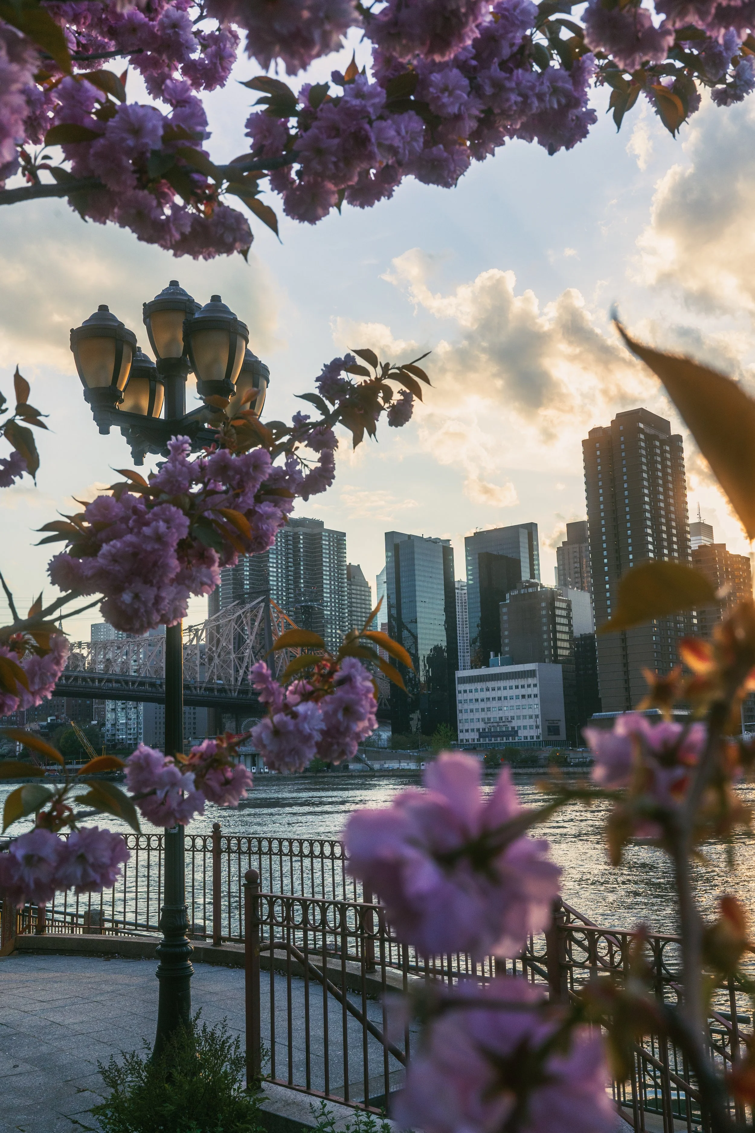 NYC 3 BORO DAY 4-25-21-16.jpg