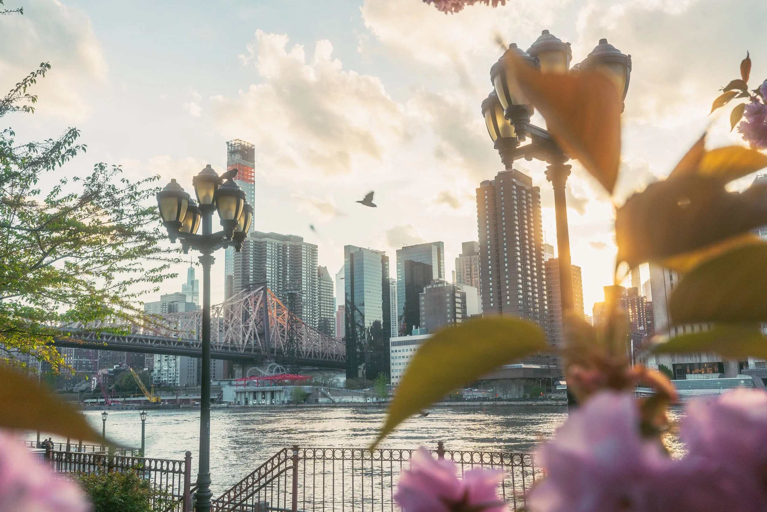 NYC 3 BORO DAY 4-25-21-18.jpg