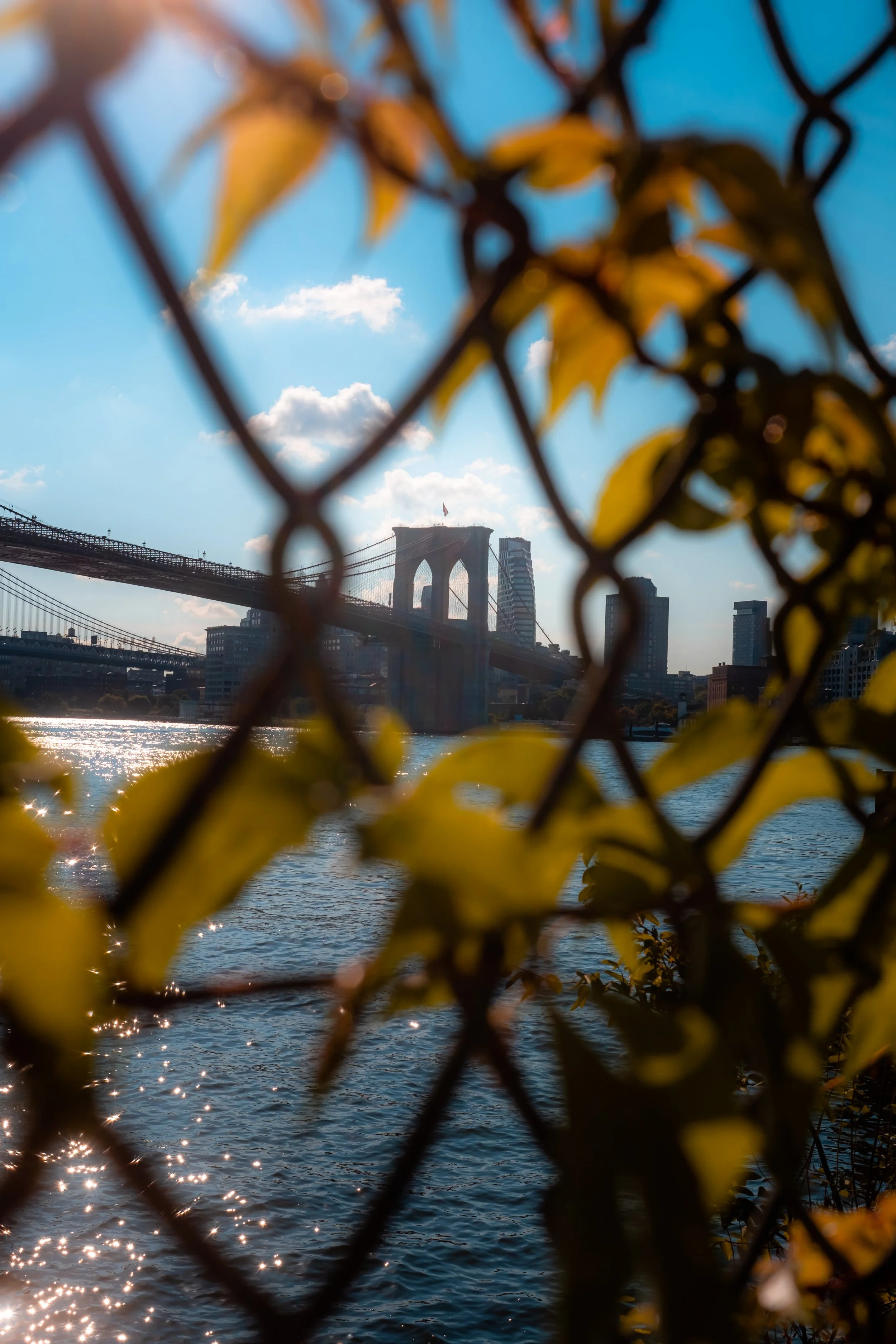 NY Run Around 8-31-22-9.jpg