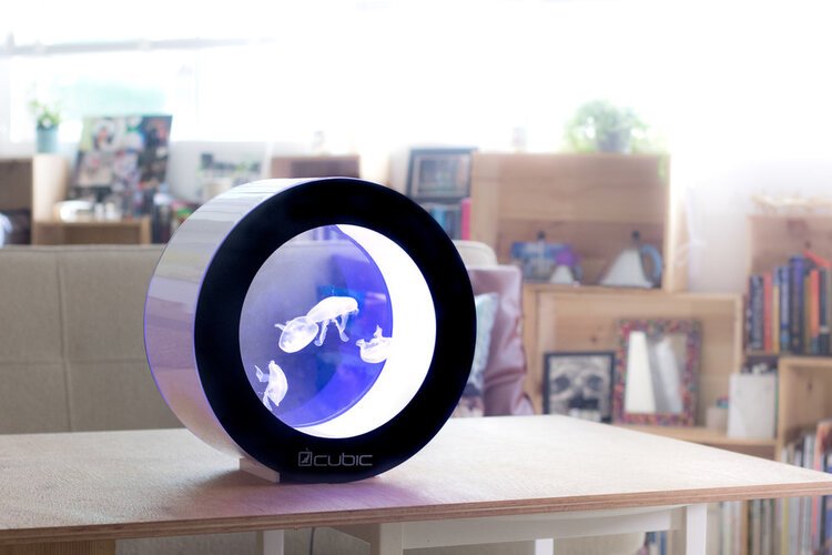 cubic+orbit+lounge.jpg