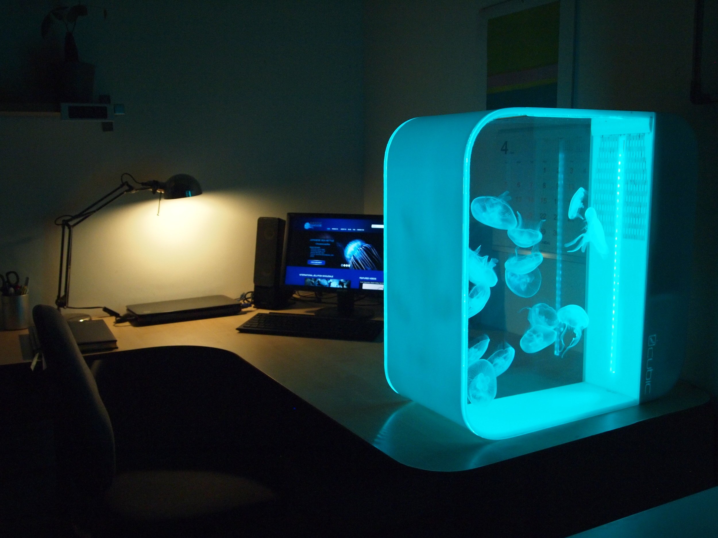 Pulse 80a.jpg
