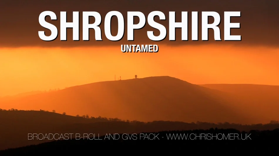 Shropshire stock video footage