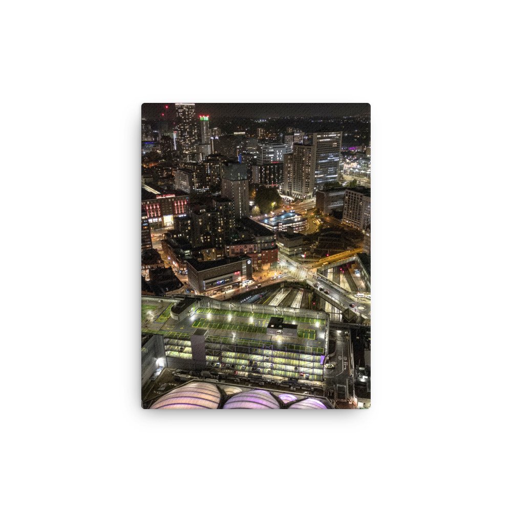 thin-canvas-(in)-12x16-front-63b765045a0e9.jpg