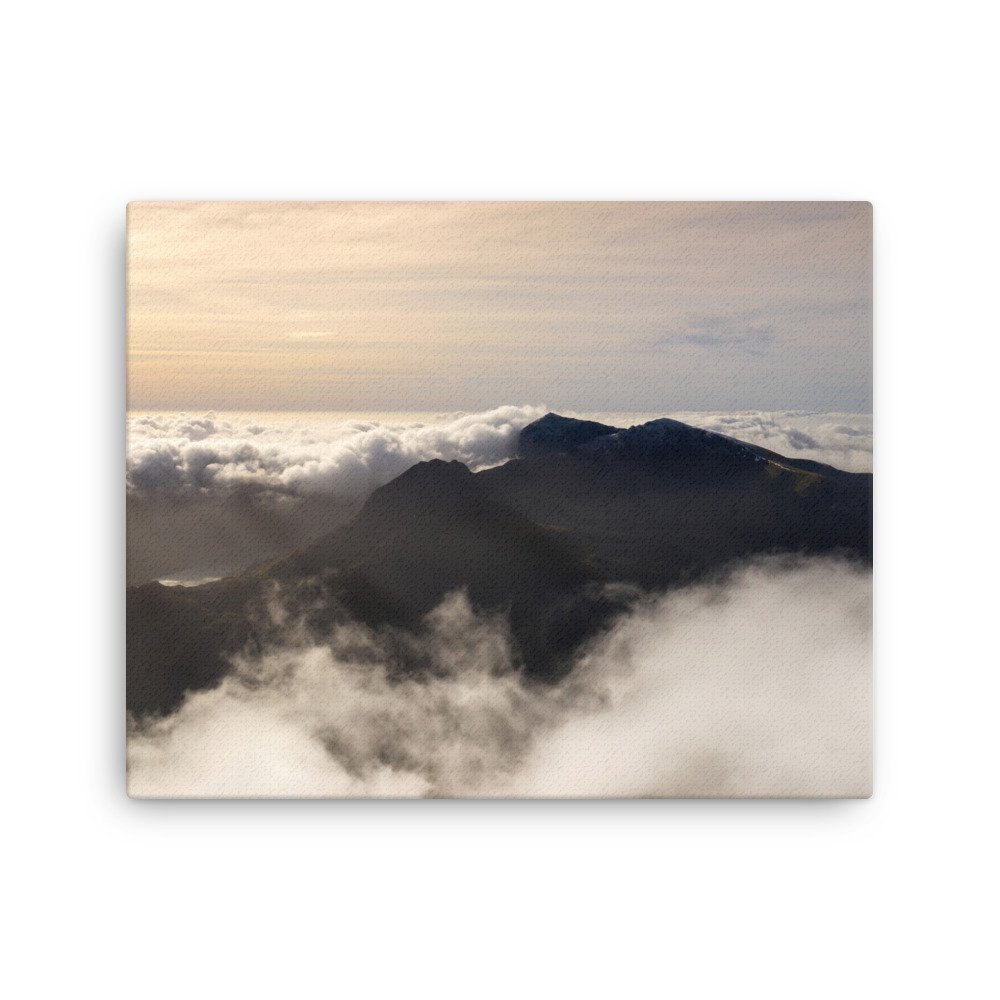thin-canvas-(in)-16x20-front-63bd6c591de35.jpg