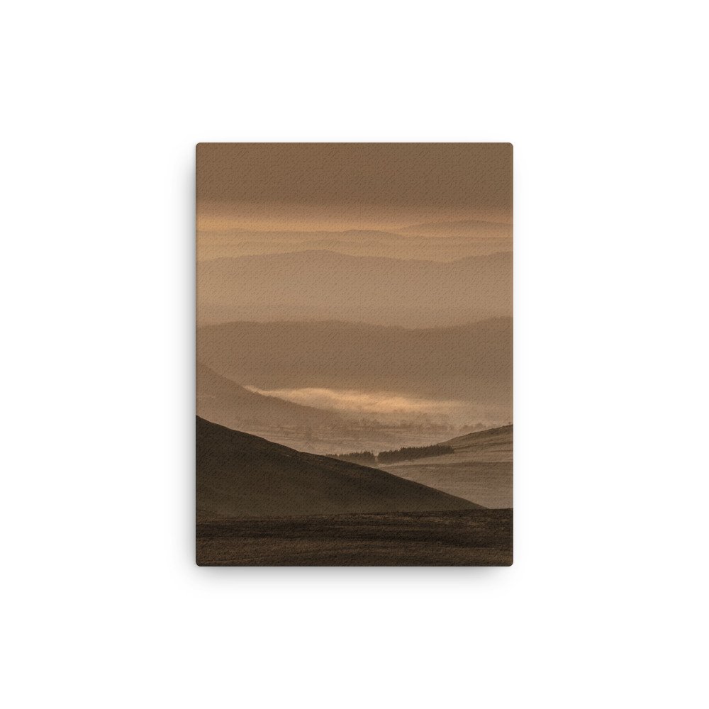 thin-canvas-(in)-12x16-front-63eb9390b44ce.jpg