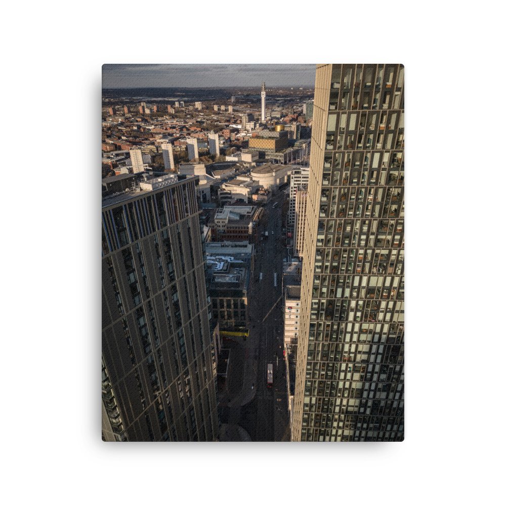thin-canvas-(in)-16x20-front-63fe24f3519f0.jpg