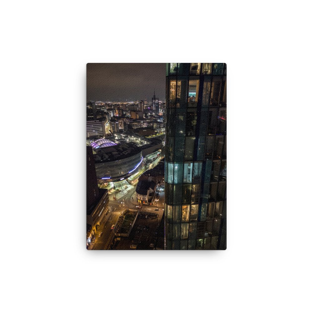 thin-canvas-(in)-12x16-front-6405e7c0cbe3a.jpg