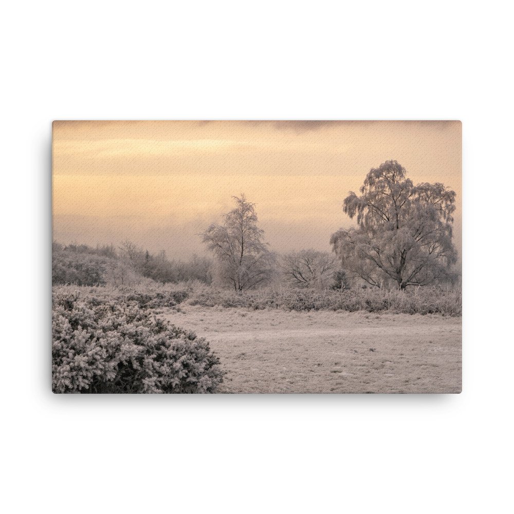 thin-canvas-(in)-24x36-front-6405fbf528c40.jpg