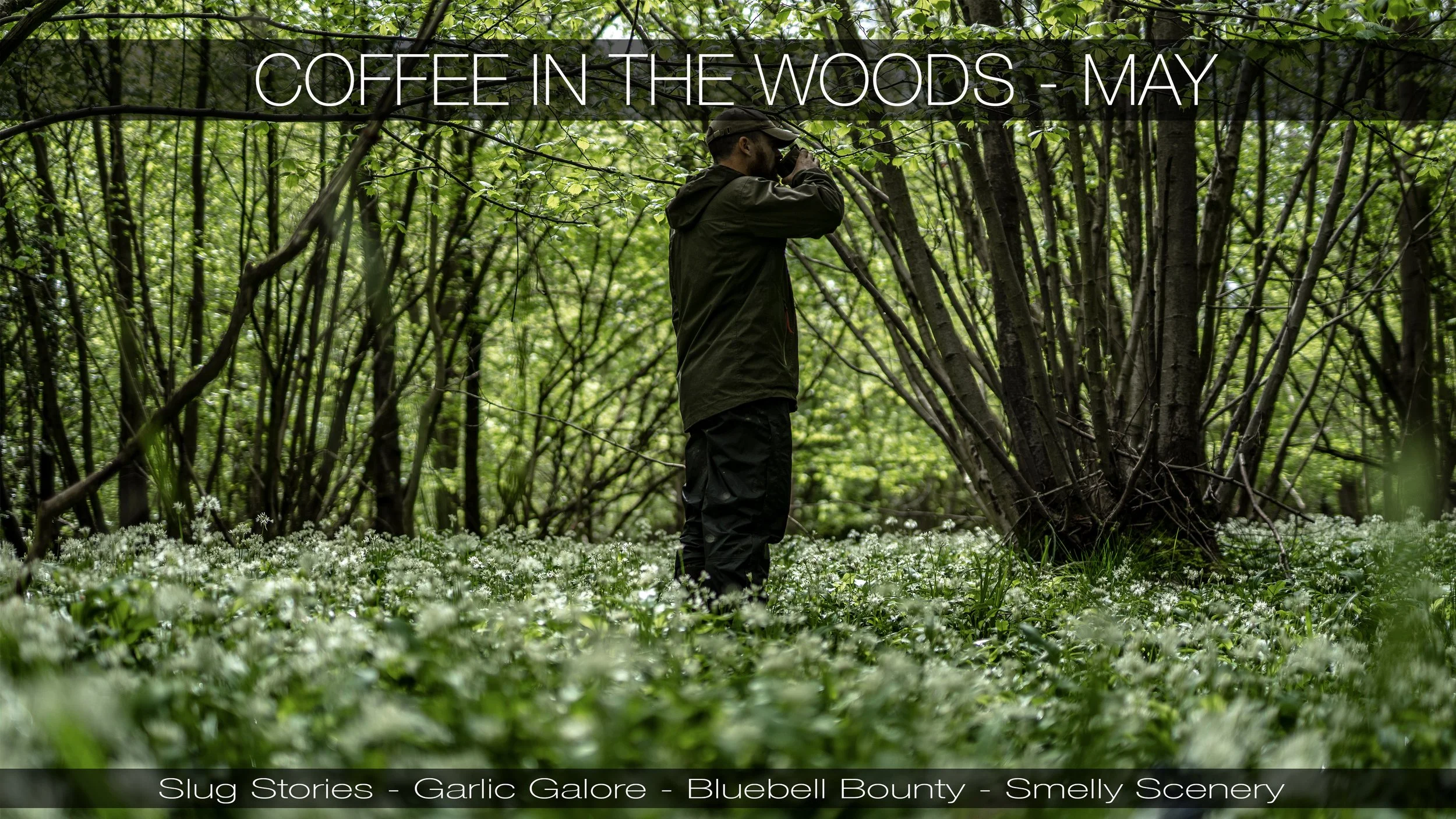 Uffmoor woods wild garlic video - May