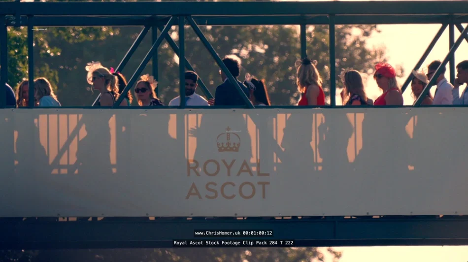 Screenshot 2026-06-01 at 09.12.12_compressed.webp