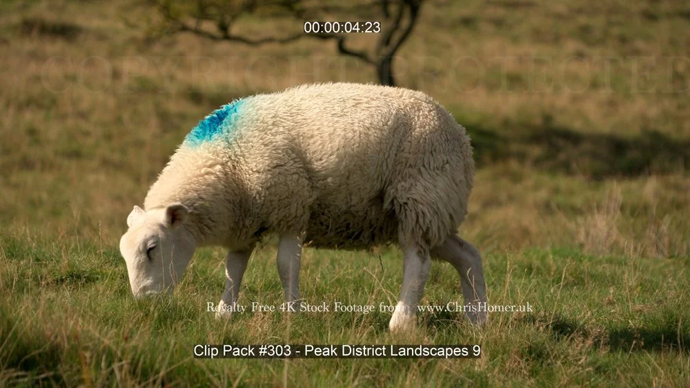Clip Pack #303 - Peak District Landscapes 9-00-00-04-920.jpg