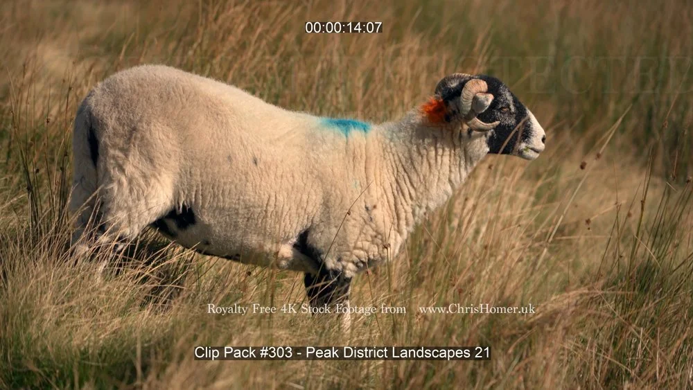 Clip Pack #303 - Peak District Landscapes 21-00-00-14-300.jpg