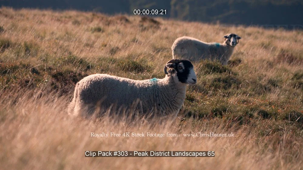 Clip Pack #303 - Peak District Landscapes 65-00-00-09-840.jpg
