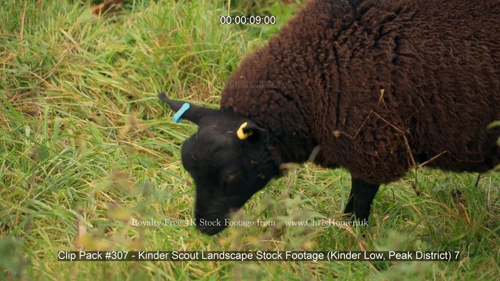 Clip Pack #307 - Kinder Scout Landscape Stock Footage (Kinder Low, Peak District) 7-00-00-09-000.jpg