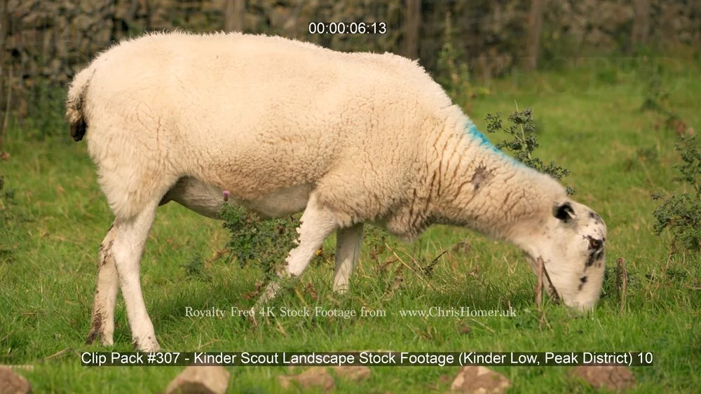 Clip Pack #307 - Kinder Scout Landscape Stock Footage (Kinder Low, Peak District) 10-00-00-06-520.jpg