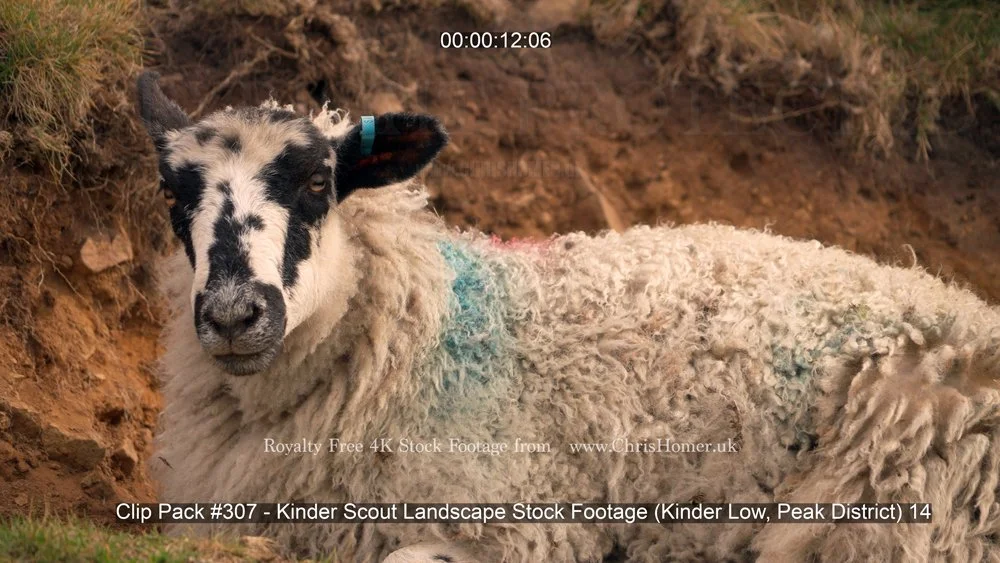 Clip Pack #307 - Kinder Scout Landscape Stock Footage (Kinder Low, Peak District) 14-00-00-12-260.jpg