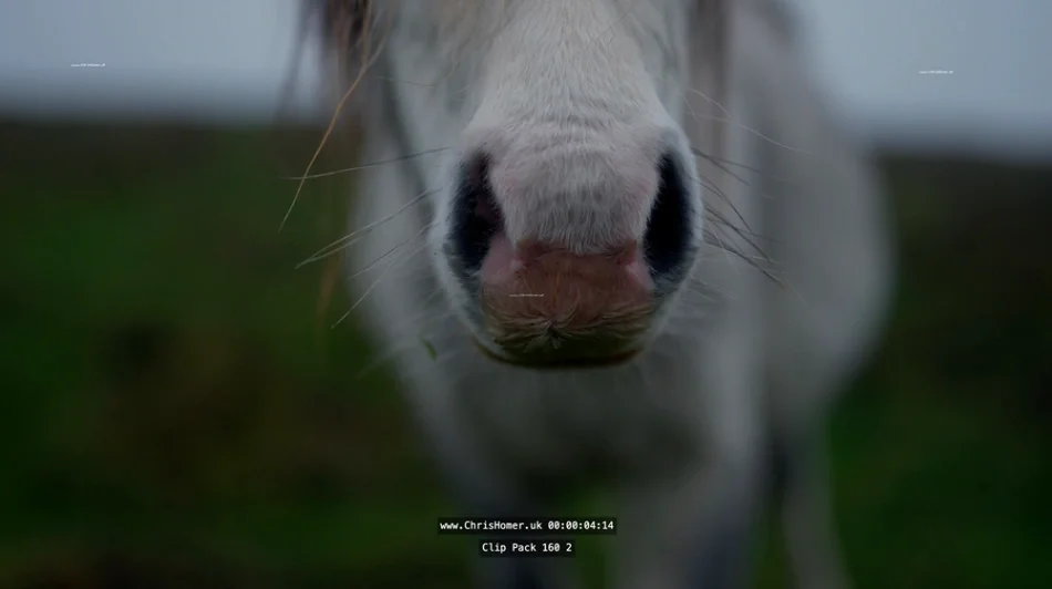 Screenshot 2026-05-24 at 16.34.28_compressed.webp