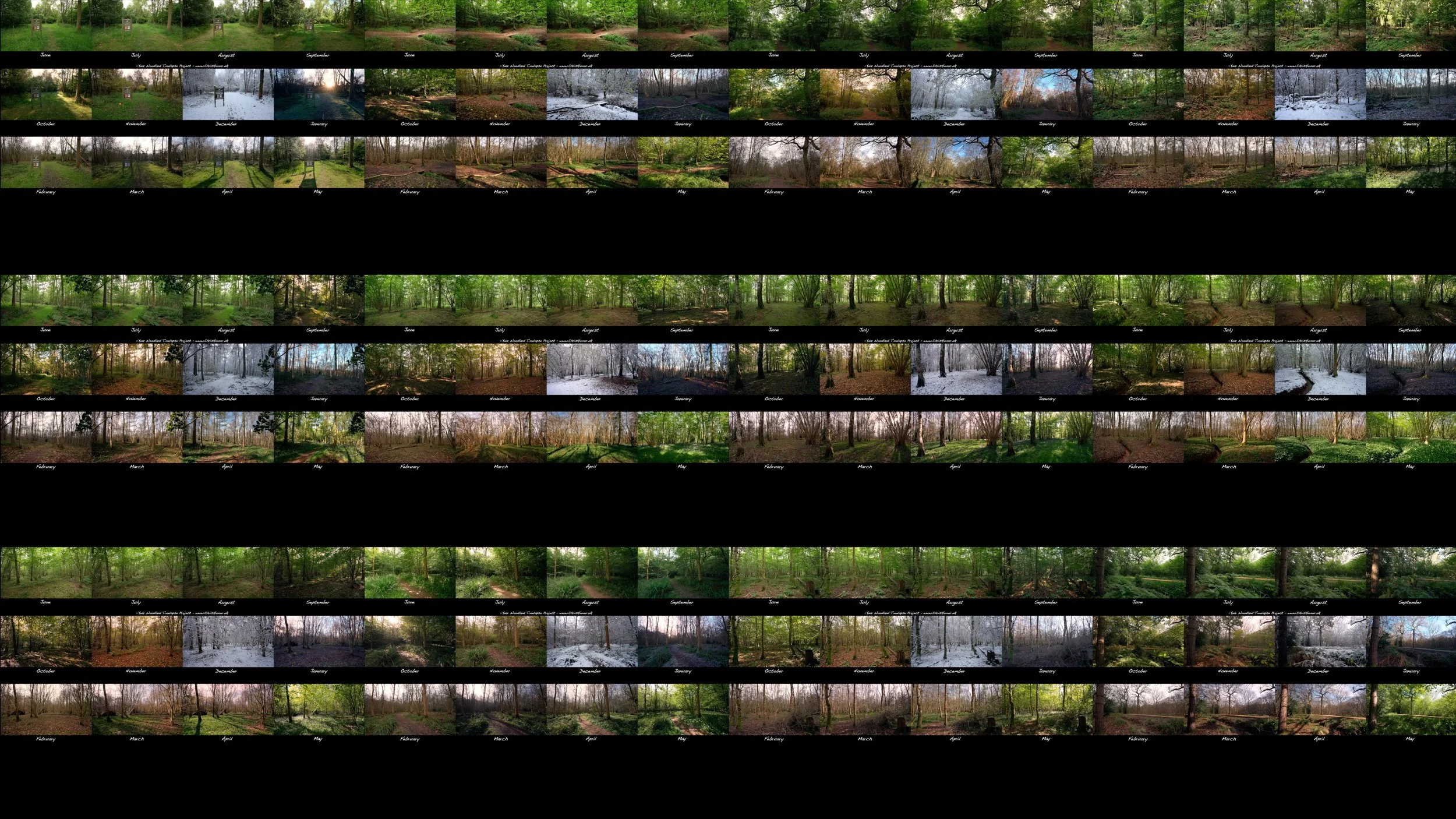 Master Grid.jpg
