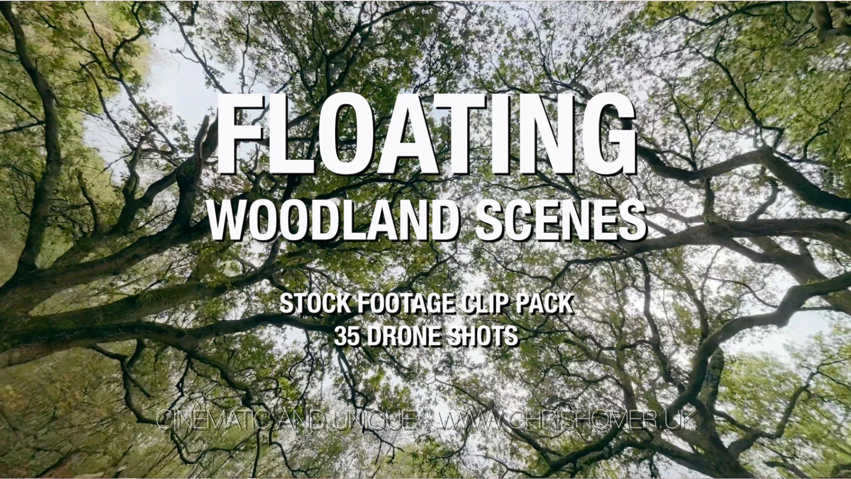 Floating woodland scenes stock footage