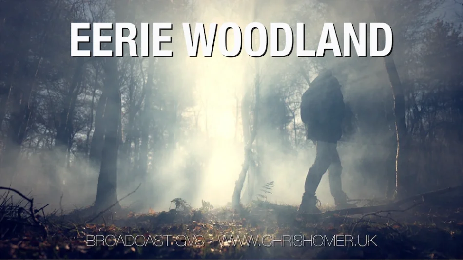 Spooky woodland